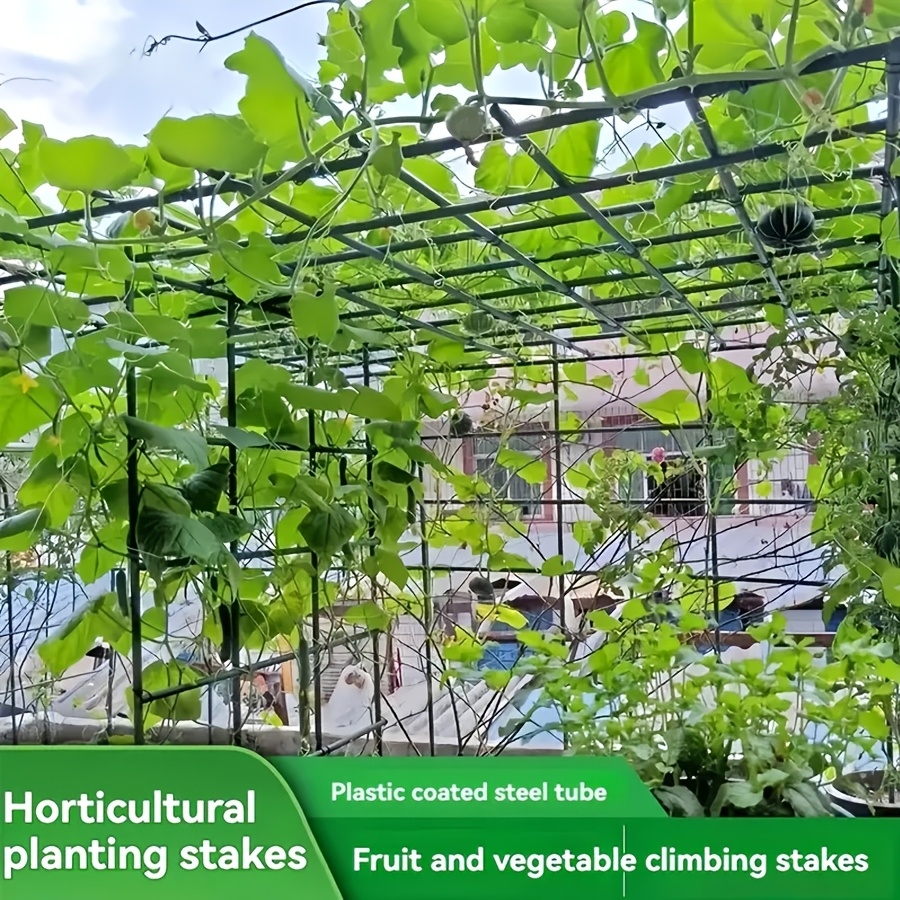 Kit de Soporte para Plantas Tr - Vine Climbing Plastic reseña y precio