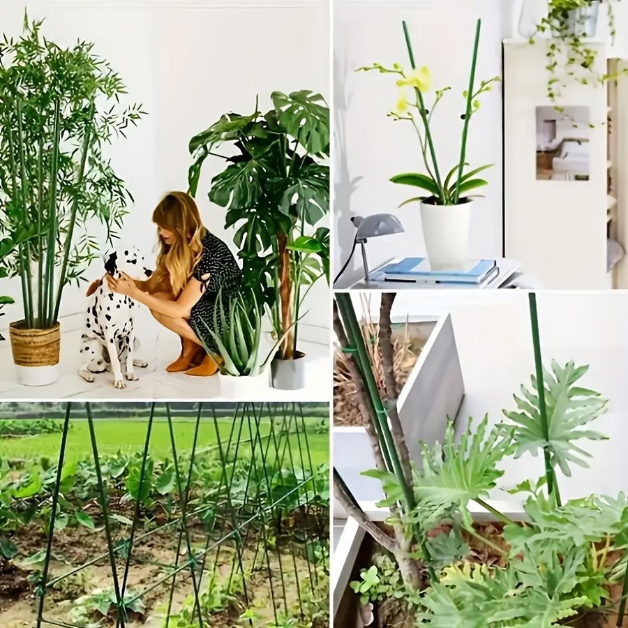 Kit de Soporte para Plantas Tr - Vine Climbing Plastic reseña y precio