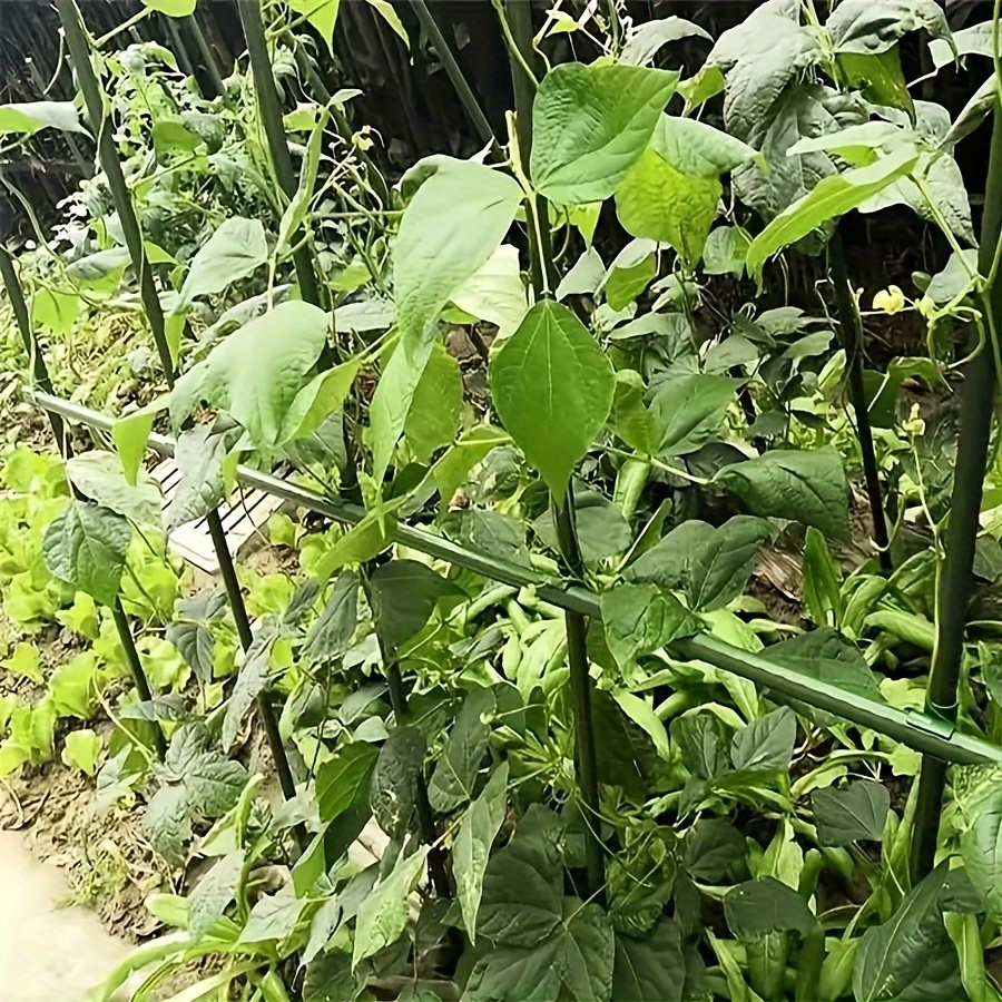 Kit de Soporte para Plantas Tr - Vine Climbing Plastic reseña y precio