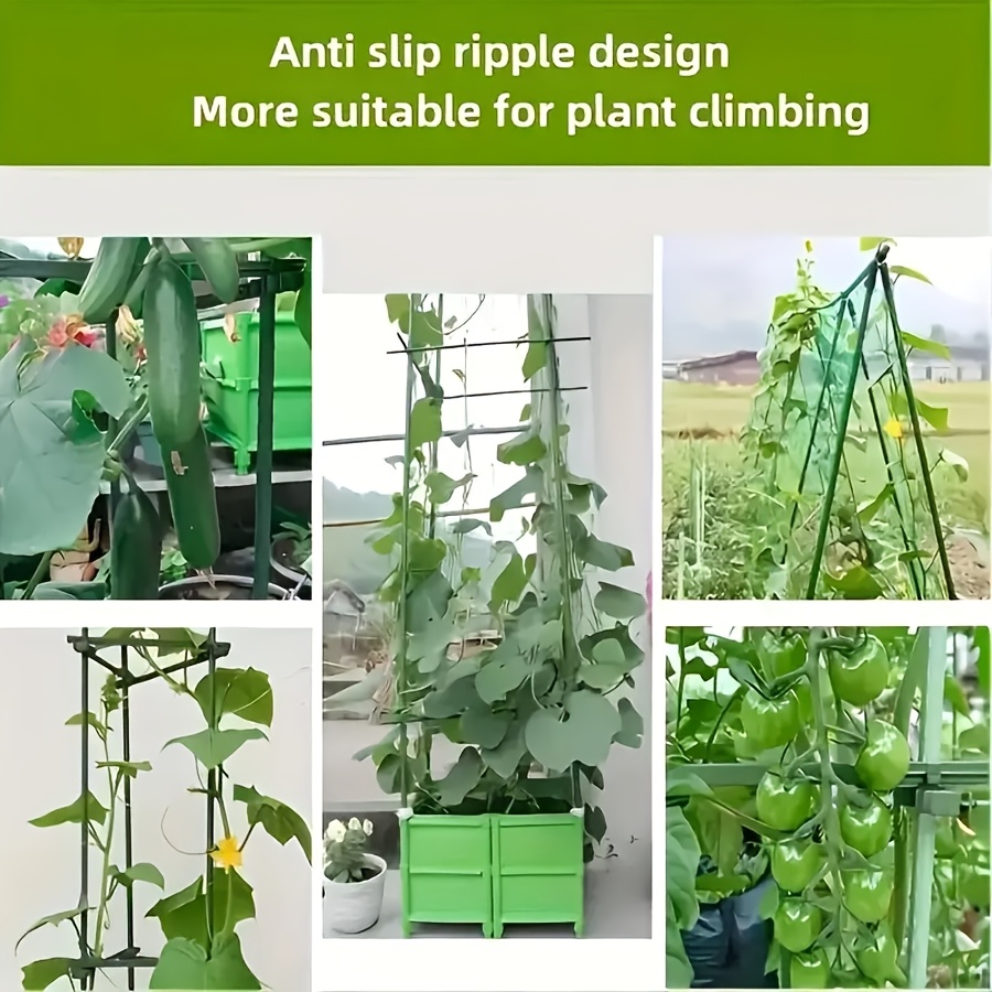 Kit de Soporte para Plantas Tr - Vine Climbing Plastic reseña y precio