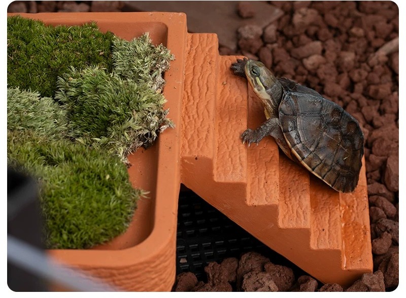 Plataforma de Reposo para Tort - Hide Cave Ceramic reseña y precio