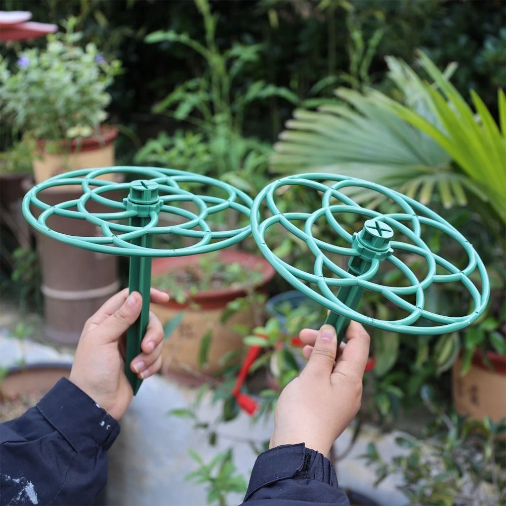 Marco de escalada para bonsái  - Vine Climbing Plastic reseña y precio