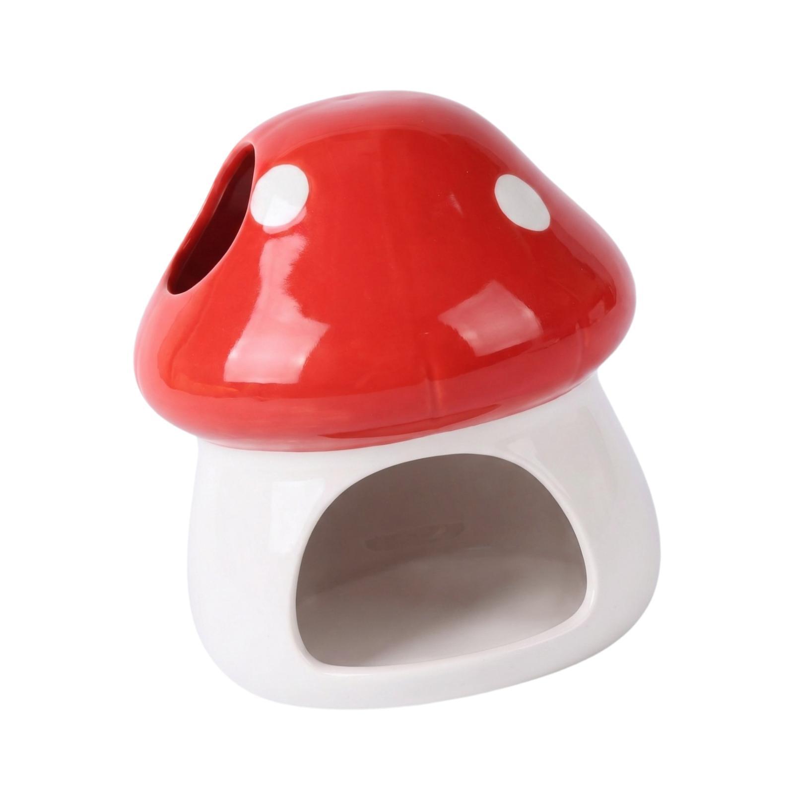 Casa de cerámica para hámster, - Hide Cave Ceramic reseña y precio