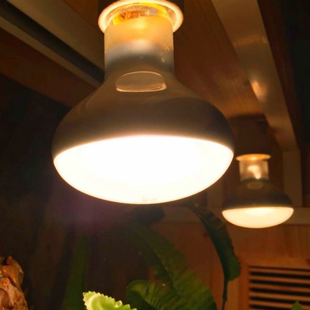Lámpara de calor para tortugas - Basking Bulb Halogen reseña y precio