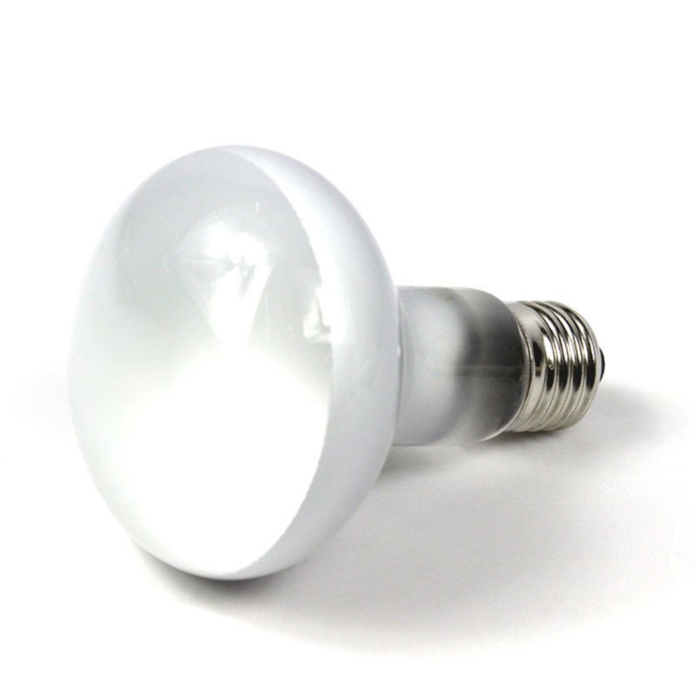 Lámpara de calor para tortugas - Basking Bulb Halogen reseña y precio