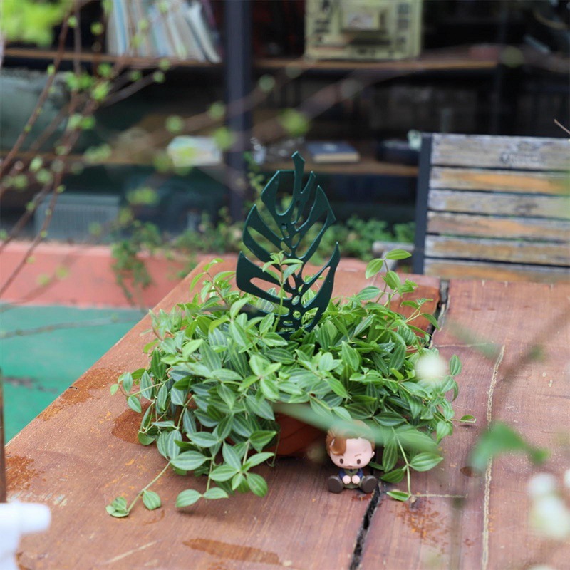 Soporte de escalada para plant - Vine Climbing Plastic reseña y precio